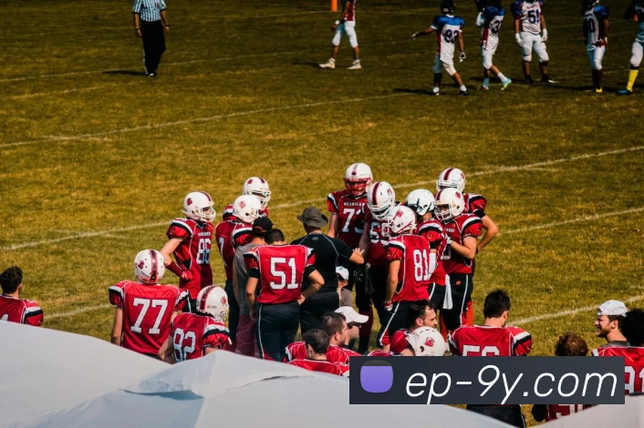 九游官网APP 封面图